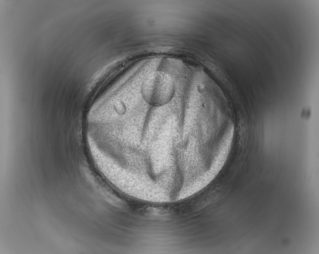 X0000114010442200910231818