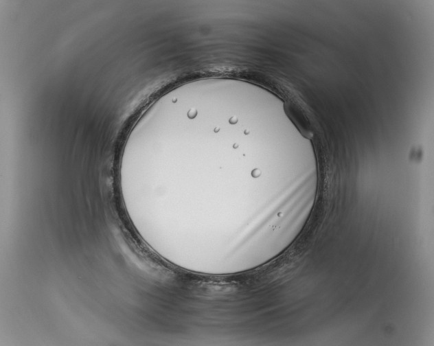 X0000114010443200910231818