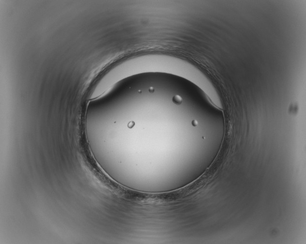 X0000114010444200910231818