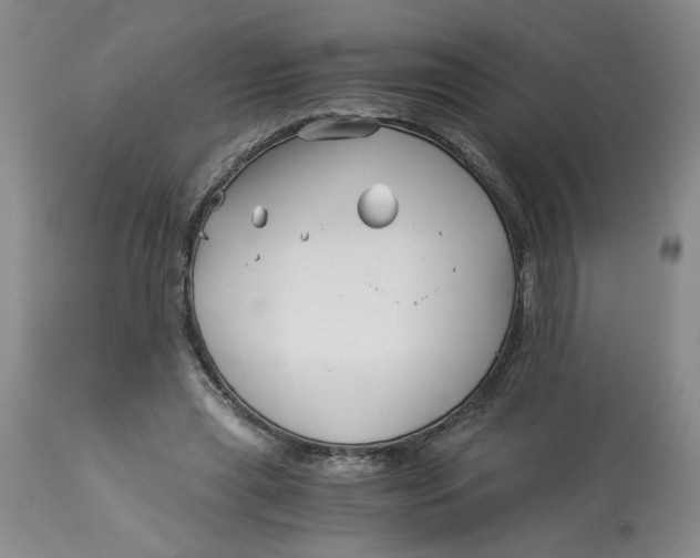 X0000114010445200910231818