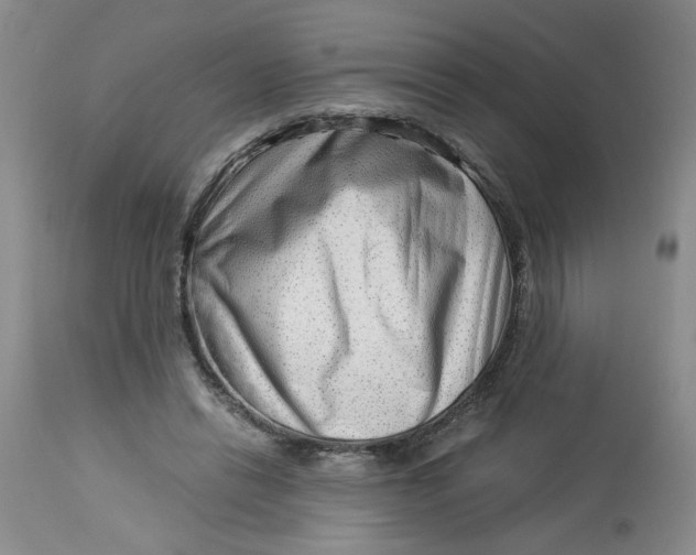 X0000114010446200910231819