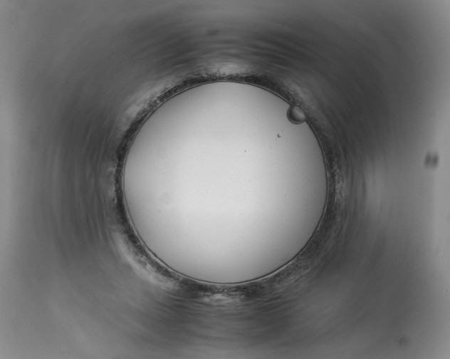 X0000114010447200910231819