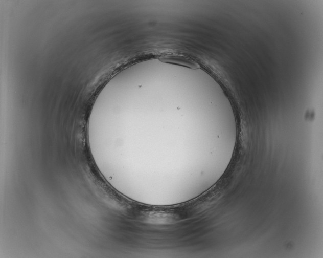 X0000114010449200910231819