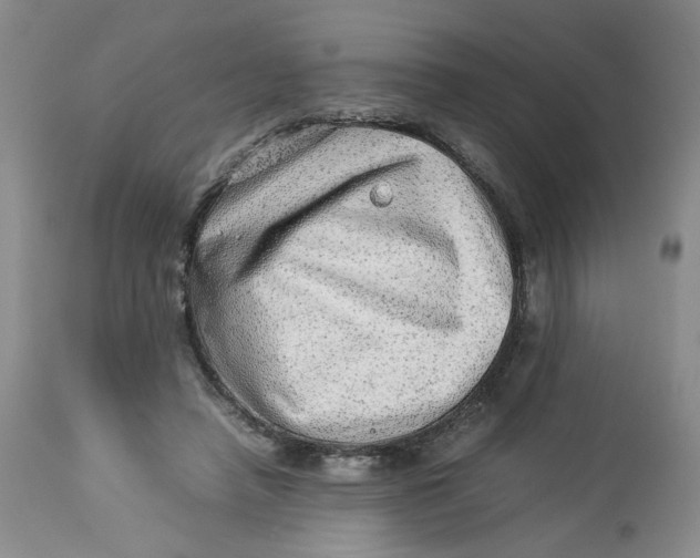 X0000114010450200910231819