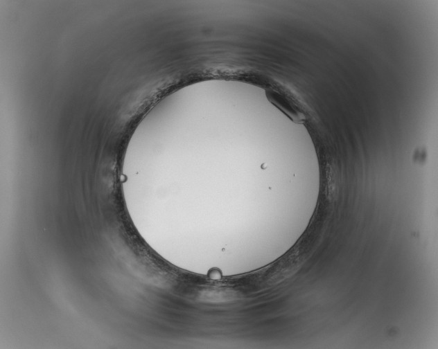 X0000114010451200910231819