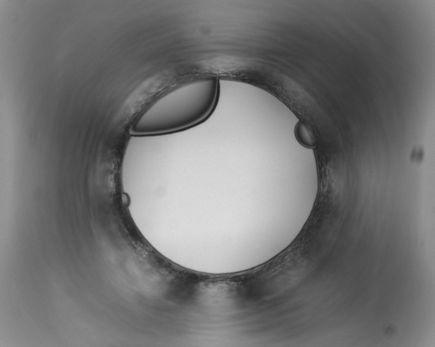 X0000114010452200910231819