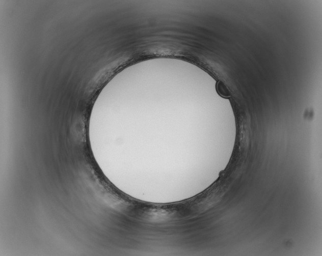 X0000114010453200910231819