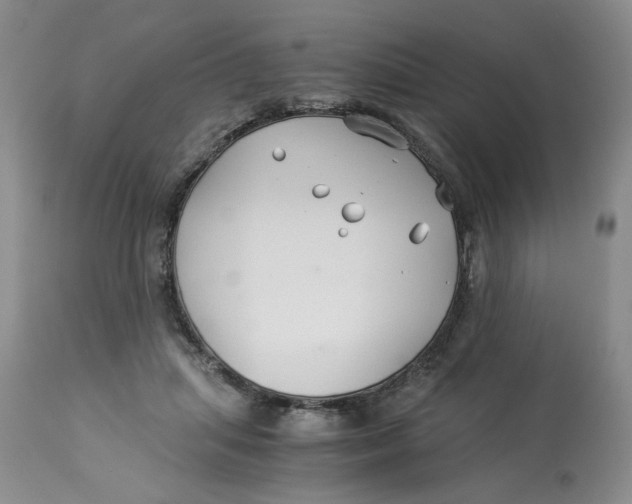 X0000114010455200910231819