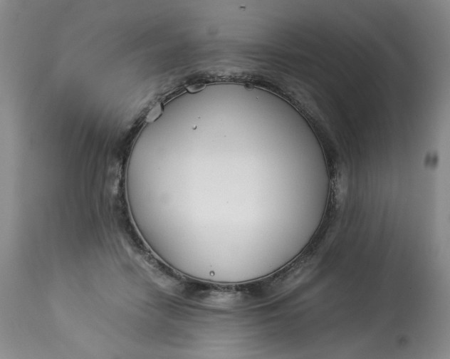 X0000114010458200910231819