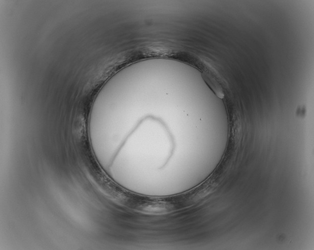 X0000114010459200910231819