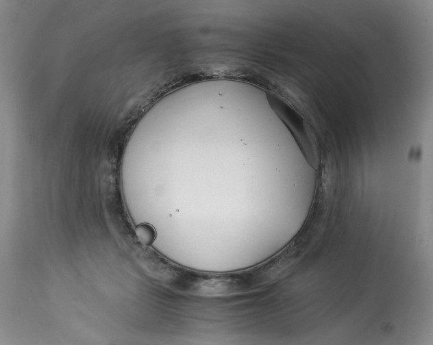 X0000114010461200910231819