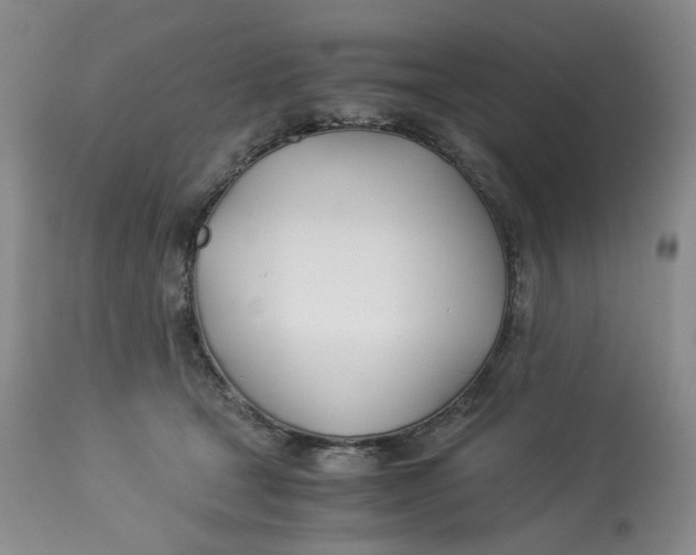 X0000114010465200910231819