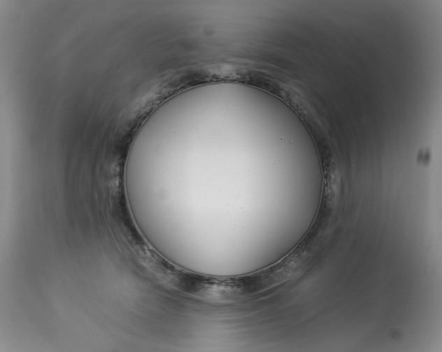 X0000114010466200910231819