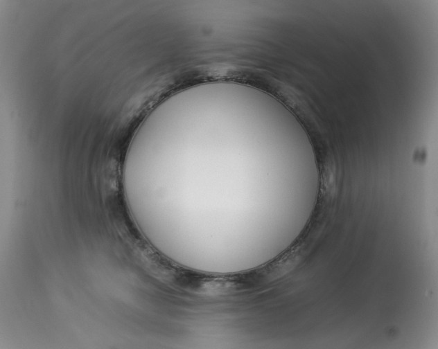 X0000114010470200910231819