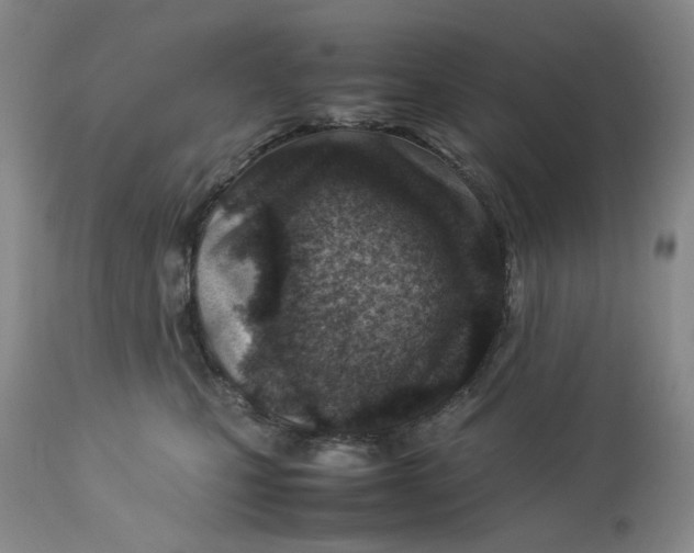 X0000114010471200910231819