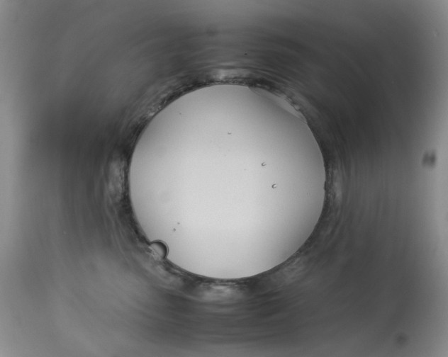 X0000114010475200910231819