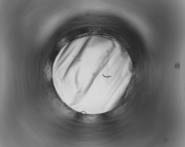 X0000114010479200910231819