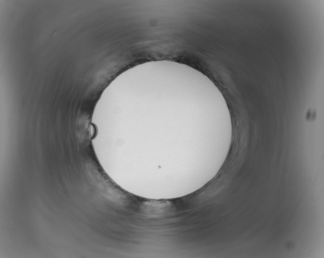 X0000114010480200910231819