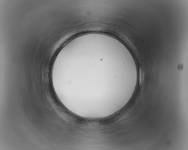 X0000114010483200910231818