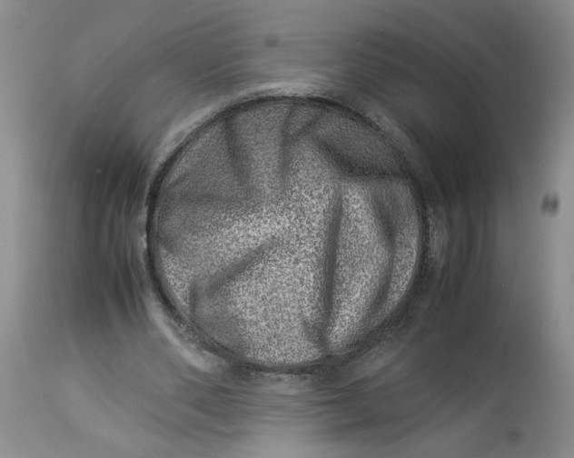 X0000114010486200910231818