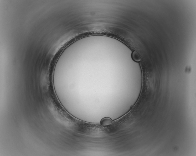 X0000114010488200910231818