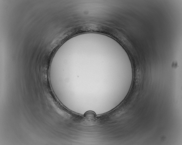 X0000114010489200910231818