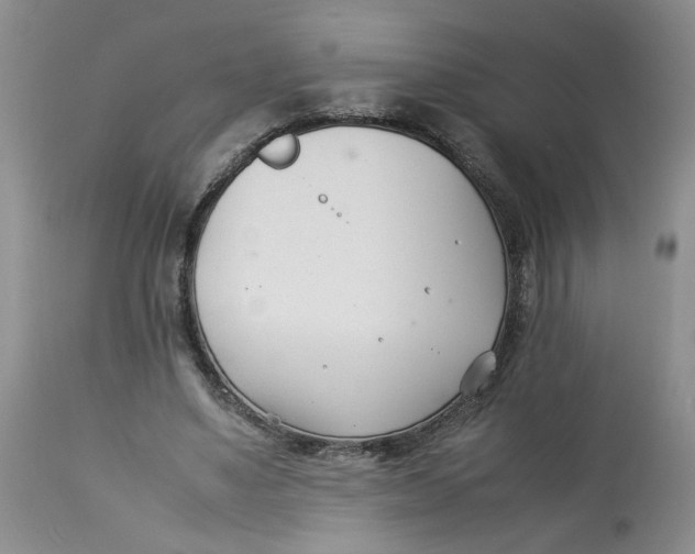 X0000114010491200910231818