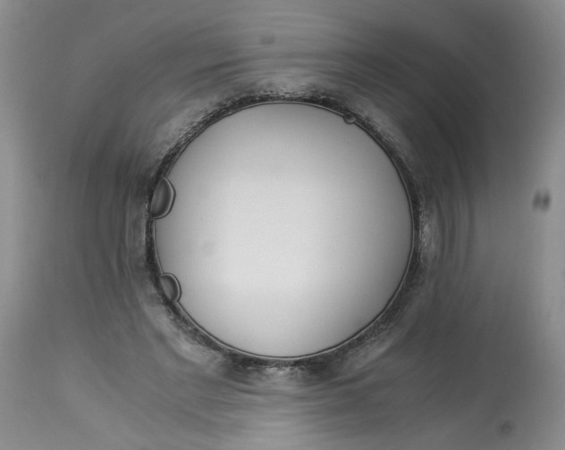 X0000114010493200910231818