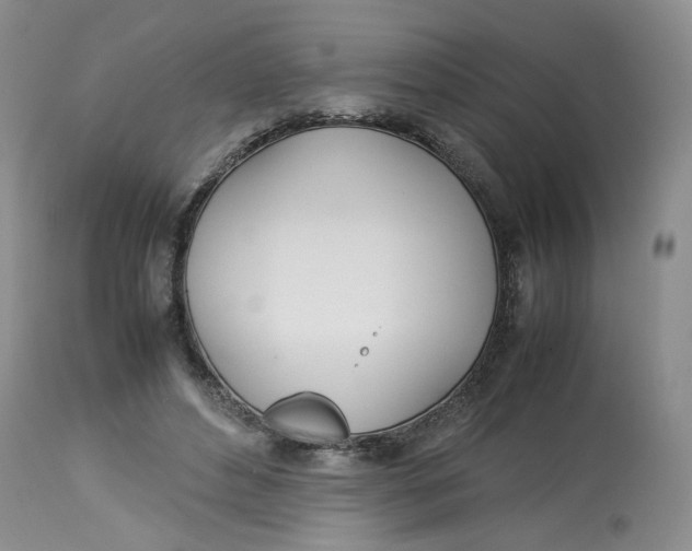 X0000114010496200910231818