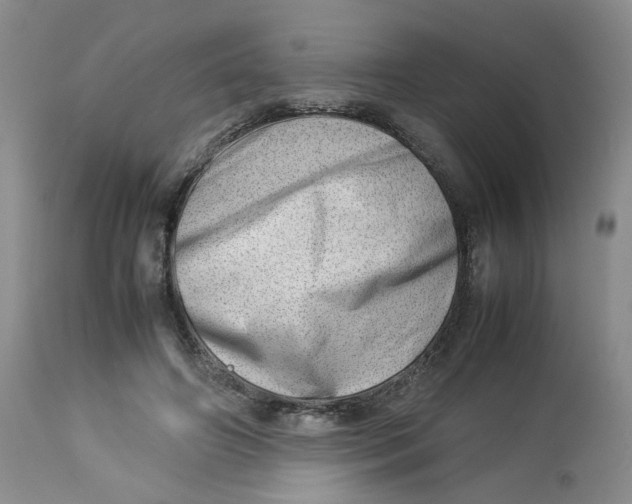 X0000114010498200910231818