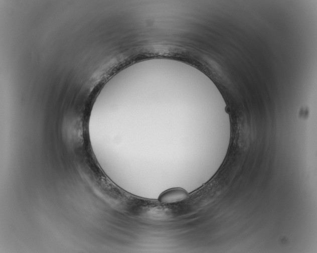 X0000114010500200910231818