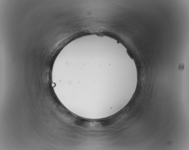 X0000114010501200910231818