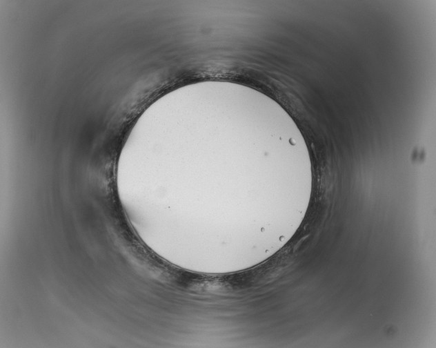 X0000114010503200910231818