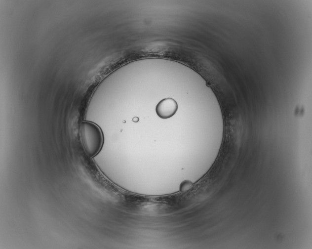 X0000114010504200910231818