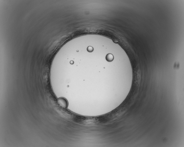 X0000114010505200910231818