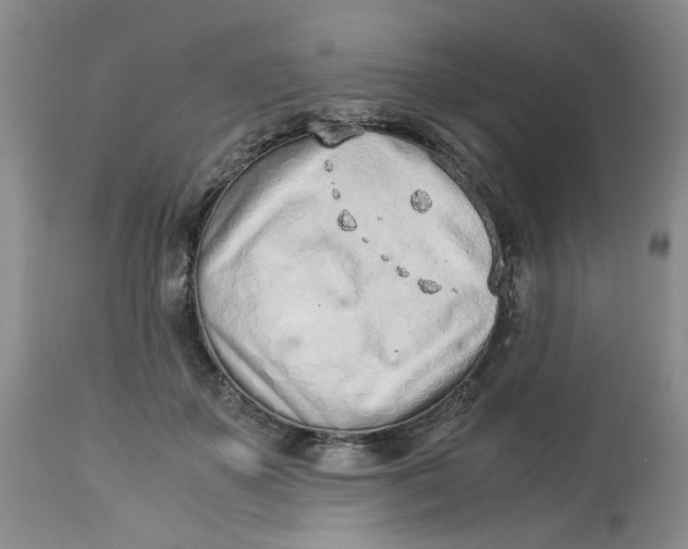 X0000114010507200910231818