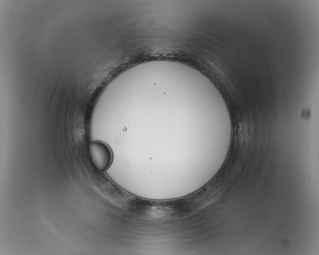 X0000114010508200910231818