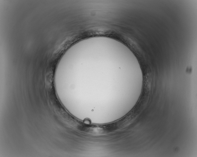 X0000114010509200910231818