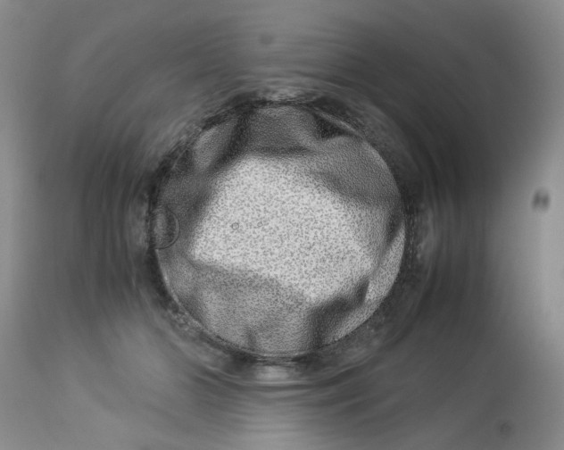 X0000114010510200910231818