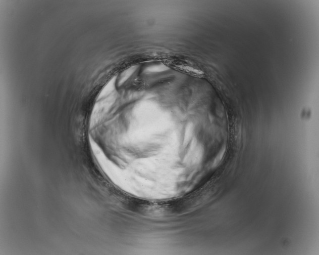 X0000114010511200910231818