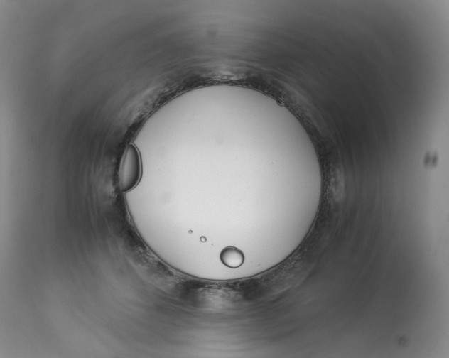 X0000114010512200910231818