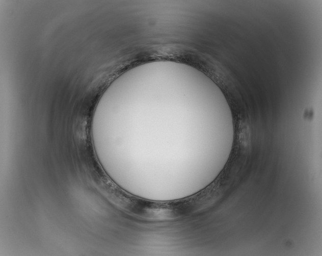 X0000114010514200910231818