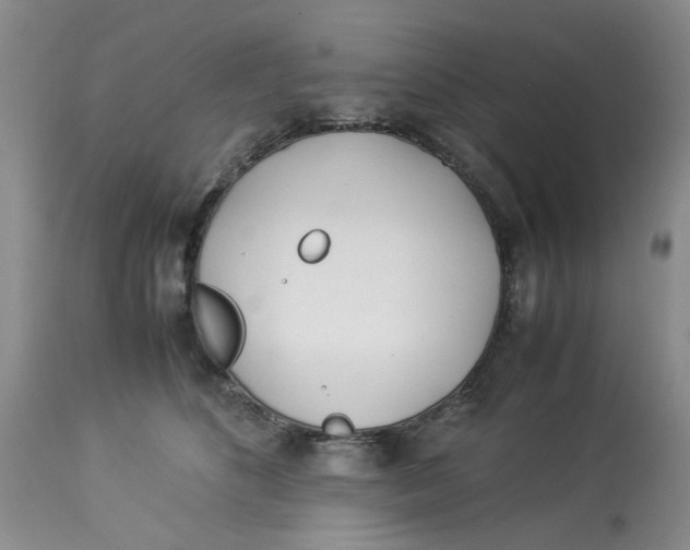 X0000114010516200910231818