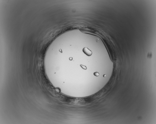 X0000114010517200910231818