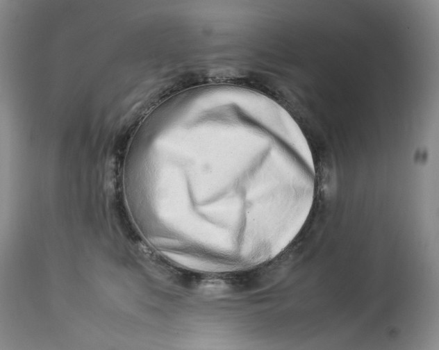 X0000114010519200910231818