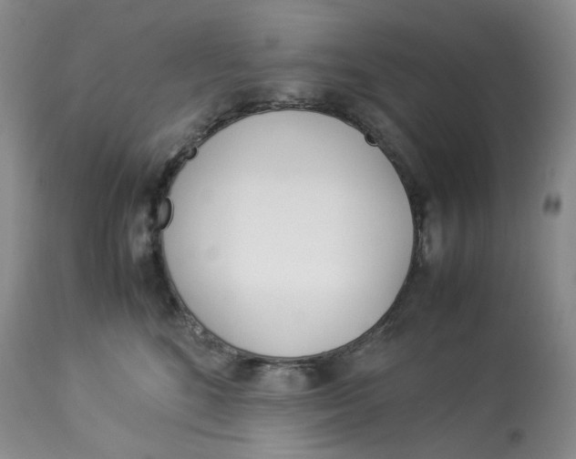 X0000114010520200910231818