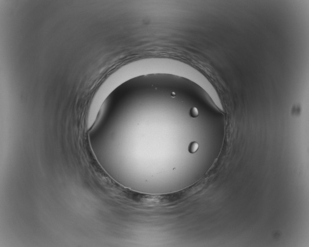 X0000114010521200910231818