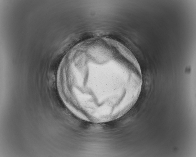 X0000114010523200910231818