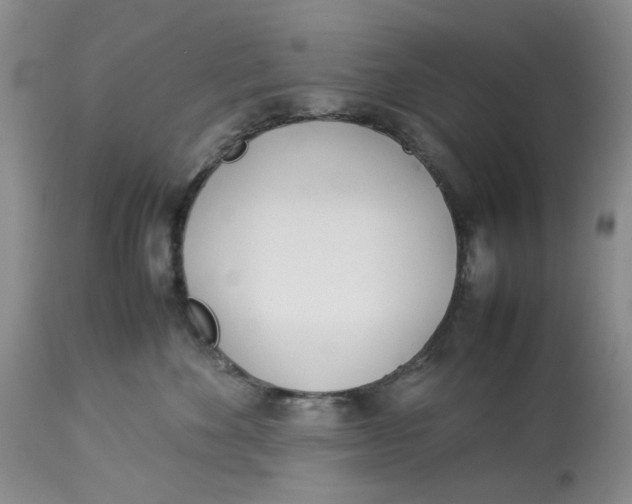 X0000114010524200910231818