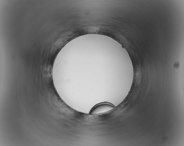 X0000114010525200910231818